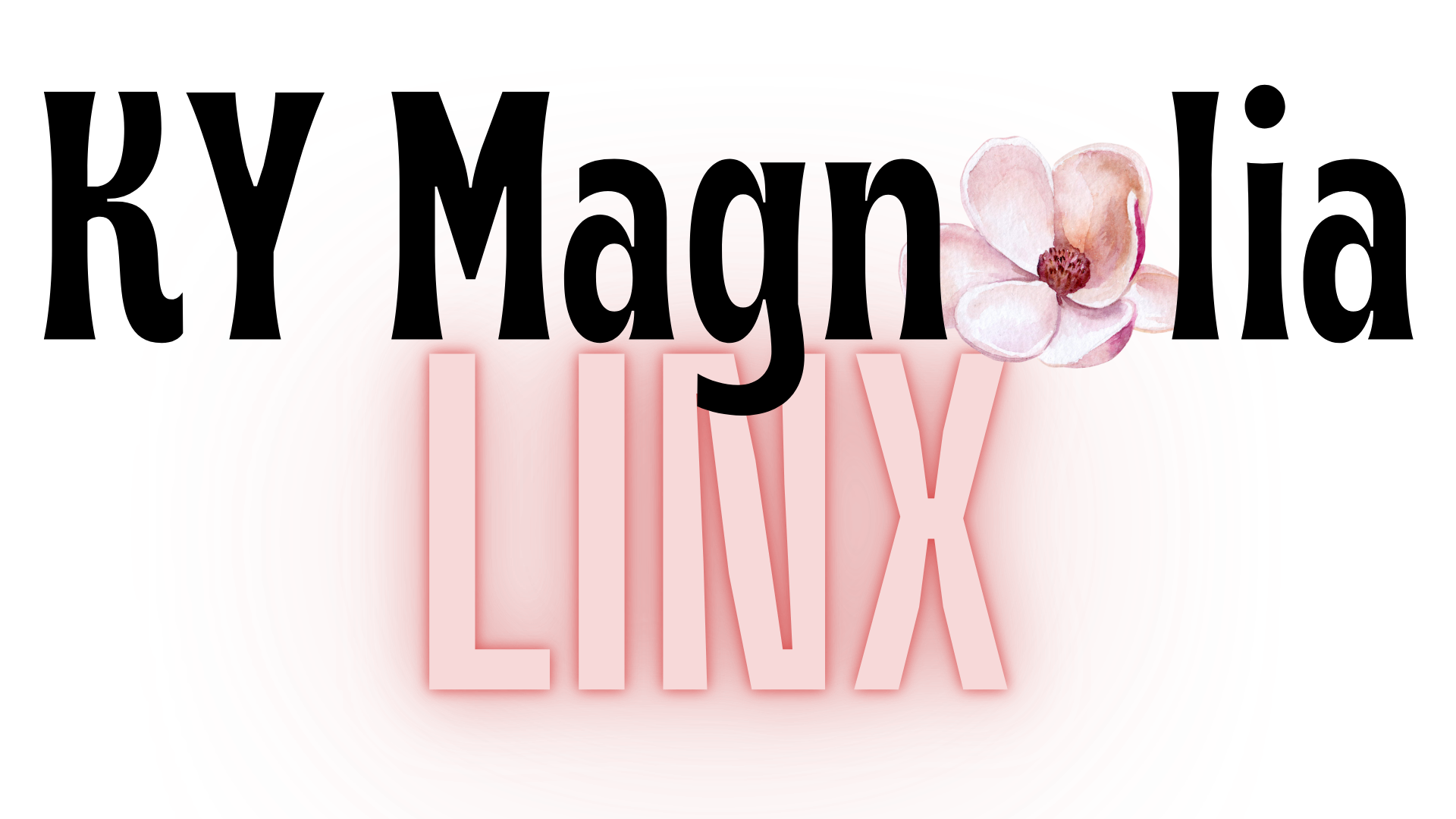 The KY Magnolia Boutique